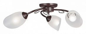 Потолочная люстра Vitaluce V3715 V3715/3PL