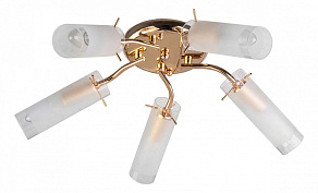 Потолочная люстра TopLight Brittany TL7130X-05FG