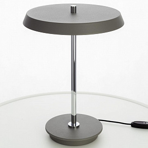 Настольная лампа декоративная Citilux LINA CL812012