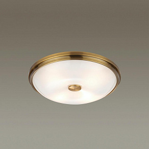 Накладной светильник Odeon Light Pelow 4956/4