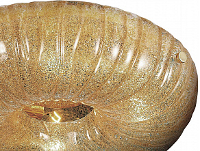 Накладной светильник Lightstar Zucche 820343