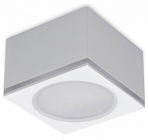 Накладной светильник Ambrella TN TN266