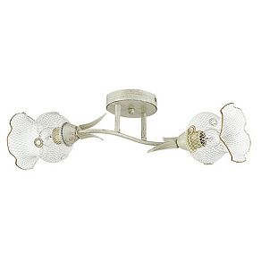 Светильник на штанге Lumion Rozetta 3108/2C