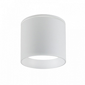 Накладной светильник Favourite Fantum 4662-1U