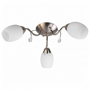 Потолочная люстра TopLight Paula TL3550X-03SN