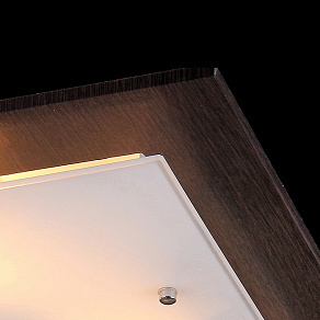 Накладной светильник Natali Kovaltseva Alps ALPS 11380/3C WENGE