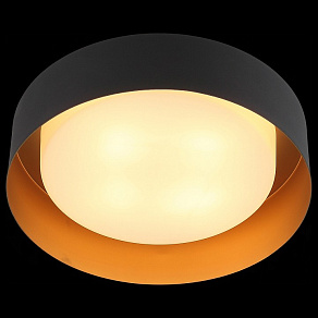 Накладной светильник ST-Luce Chio SL392.422.04