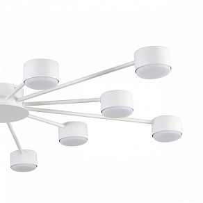 Потолочная люстра Lumion TORINA 8343/12C