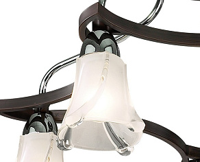 Потолочная люстра Odeon Light Iwo 2237/5С