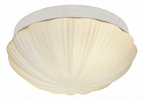 Накладной светильник ST-Luce Bagno SL495.502.02
