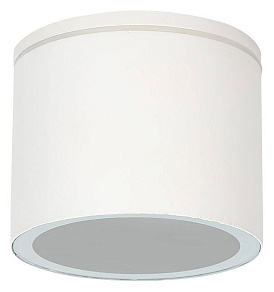 Накладной светильник Arte Lamp Piautos A1913PF-1WH