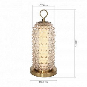 Настольная лампа декоративная ST-Luce SAGUARO SL6144.304.01