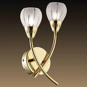 Бра Odeon Light Posi 1616/2W