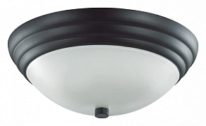 Накладной светильник Lumion Kayla 5263/2C