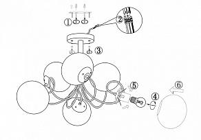 Потолочная люстра EVOLUCE Acini SL717.502.06