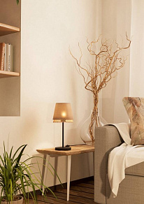 Настольная лампа декоративная Eglo Tabley 43977