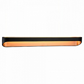 Накладной светильник ST-Luce Mensola SL582.411.01