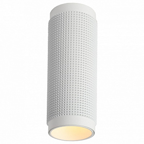 Накладной светильник Favourite Kinescope 2453-1C