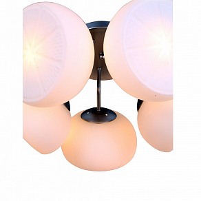 Потолочная люстра ST-Luce Arancio SL482.502.05