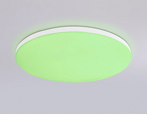 Накладной светильник Ambrella Light FZ FZ2001