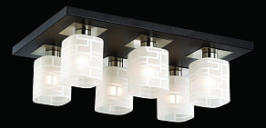 Накладной светильник Odeon Light Campus 2615/6C