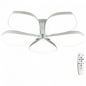 Накладной светильник Lumion Gabriella 3645/60CL