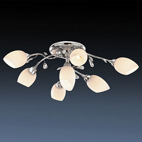 Потолочная люстра Odeon Light Fiera 1603/7