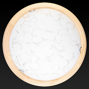 Накладной светильник TopLight Daniela TL9530Y-00PN
