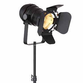 Торшер Globo Egon 54650-1SB