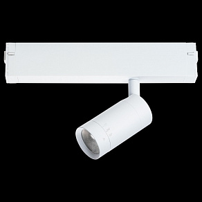 Светильник на штанге Lightstar Teta 205016