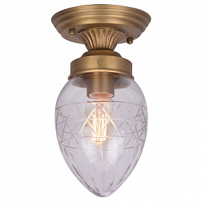 Накладной светильник Arte Lamp  A2304PL-1SG
