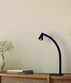 Настольная лампа декоративная Mantra Africa 9415