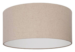 Накладной светильник Eglo Feniglia 900858