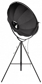 Торшер Loft it Studio 10301/L