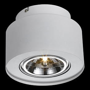 Накладной светильник Arte Lamp Cliff A5643PL-1WH
