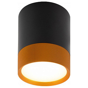 Накладной светильник Denkirs DK401 DK4017-BG