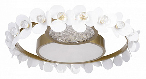 Накладной светильник Loft it Bride 10174