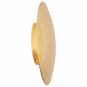 Накладной светильник ST-Luce Aureo SL457.201.01