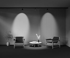 Светильник на штанге Maytoni Lens TR217-2-15W3K-B