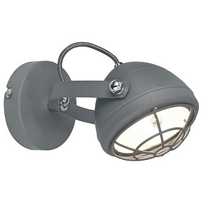 Спот Zumaline Balve G917006-1R