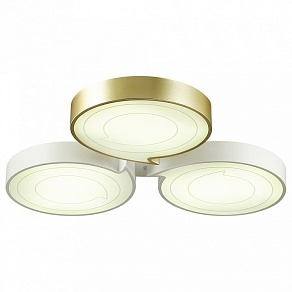 Накладной светильник Lumion Dilip 3646/60CL