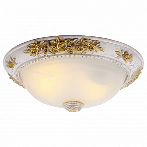 Накладной светильник Arte Lamp Torta A7102PL-2WG