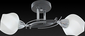 Светильник на штанге TopLight Lia TL7380X-02BC