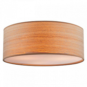 Накладной светильник Globo Amy 2 15189D