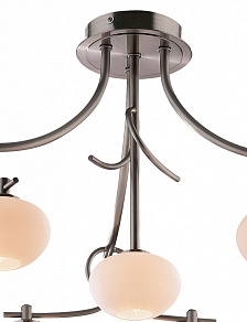 Потолочная люстра Odeon Light Rondo 1813/7C