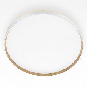 Накладной светильник Citilux ETALON CL750500R