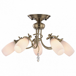 Потолочная люстра Odeon Light Kula 1426/5