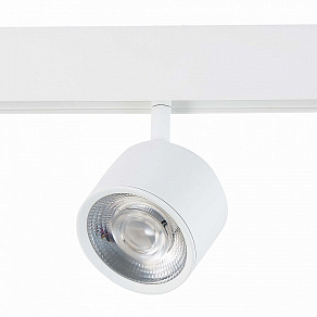 Светильник на штанге ST-Luce Vedo ST353.546.06