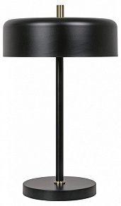 Настольная лампа декоративная Arte Lamp Skat A7052LT-2BK