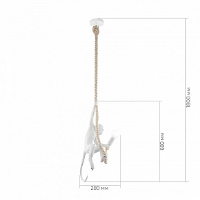 Подвесной светильник EVOLUCE TENATO SLE115103-01